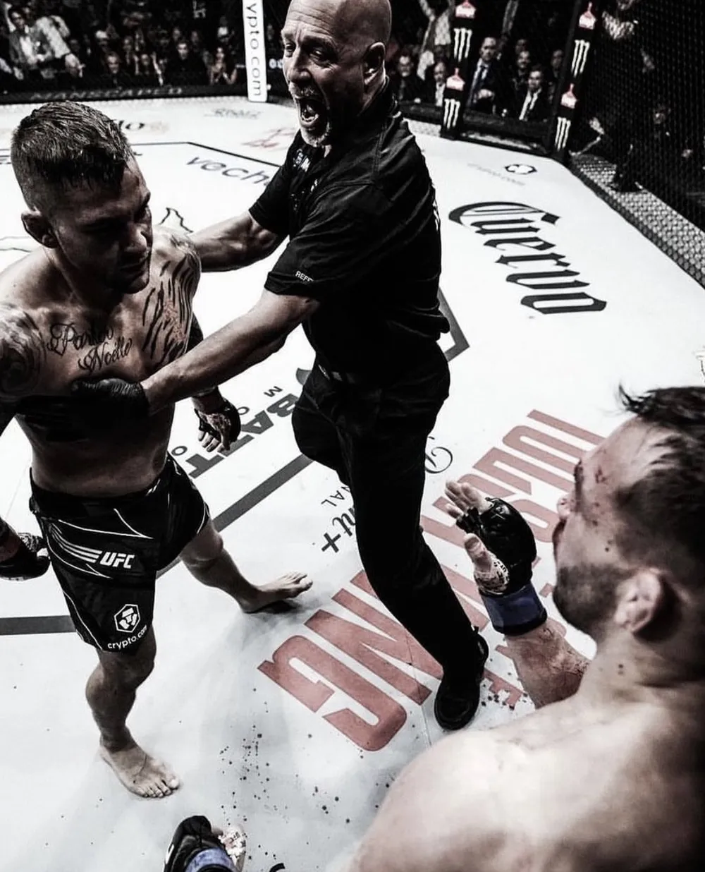 UFC 281: “Viên kim cương” Dustin Poirier thắng Submission “Iron” Michael Chandler bằng đòn siết cổ trong trận đấu đẫm máu ảnh 1