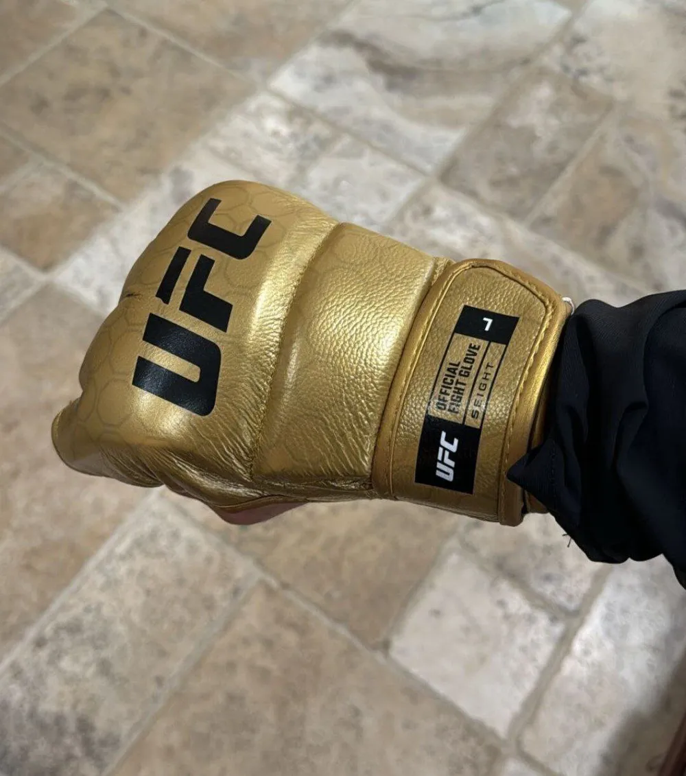 UFC 302 - Găng vàng.jpeg