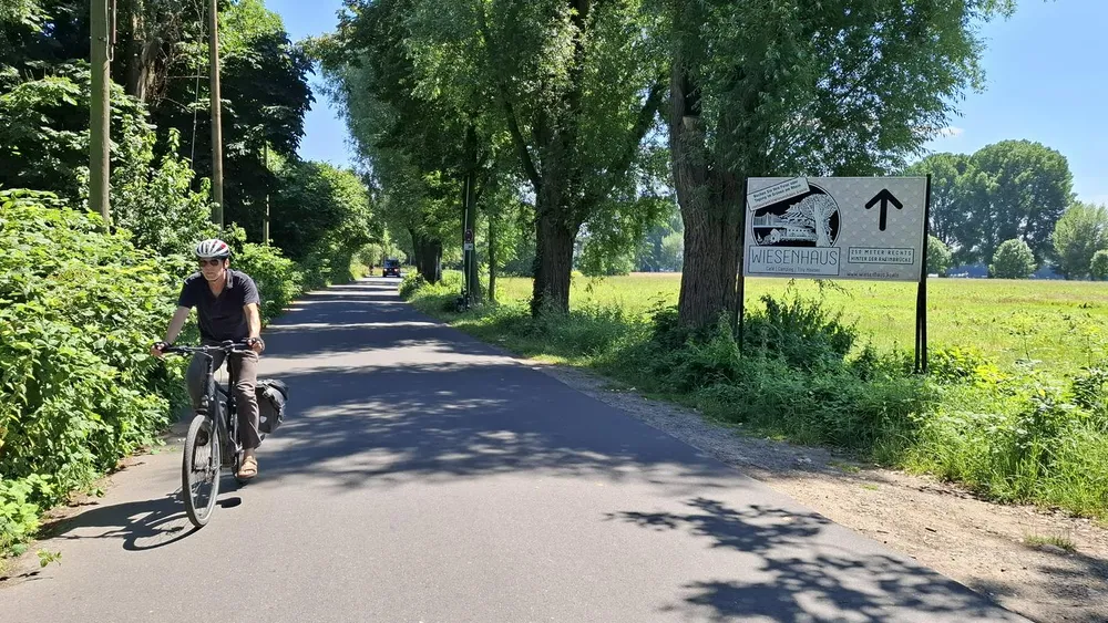 Slovenia Fans 07.jpg