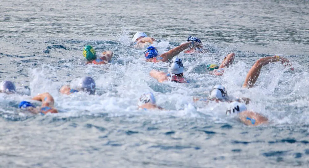 Môn bóng nước tại World Aquatics Championships 2025