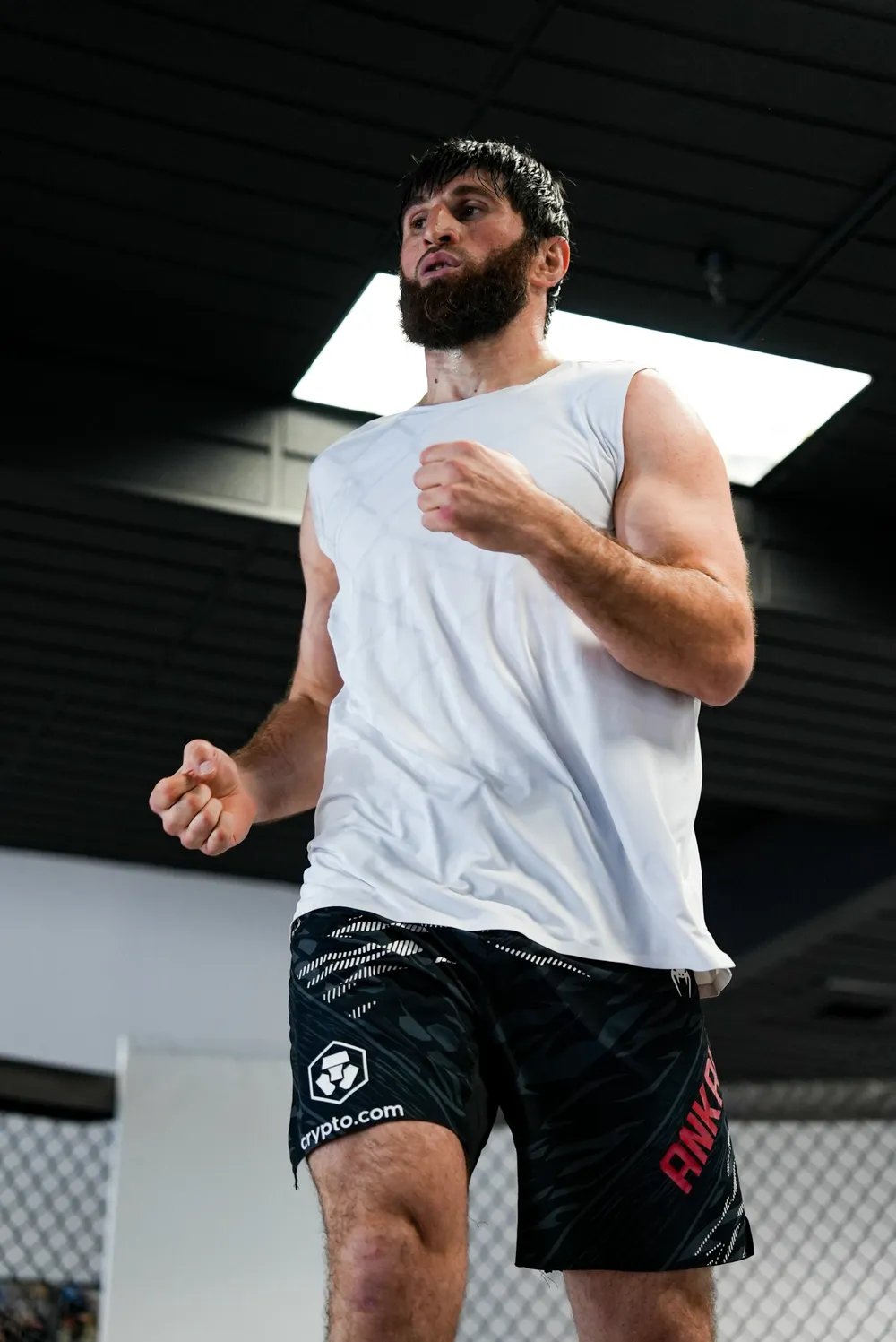 ONE WEEK till Magomed Ankalaev vs. Alex Pereira 2 02.jpg