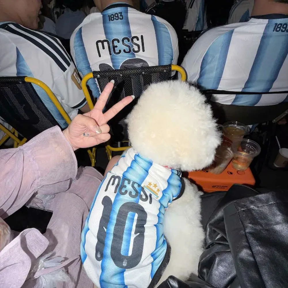 Fan Messi 06.jpg