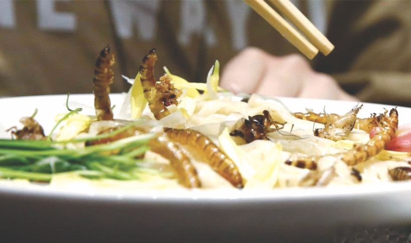 昆蟲拉麵食客爭相品嚐暗黑料理