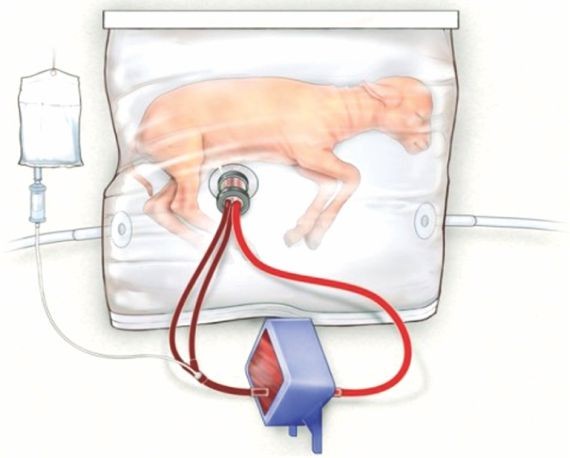 （資料圖來源：互聯網）