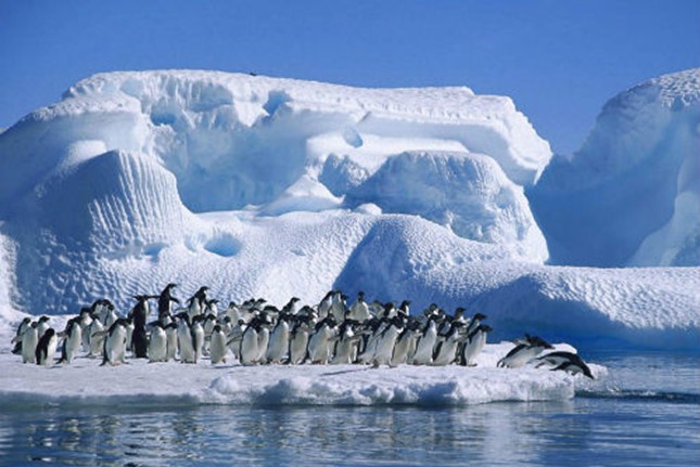 示意圖。（圖源：互聯網）