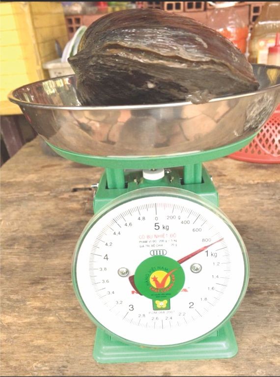 資料圖：互聯網