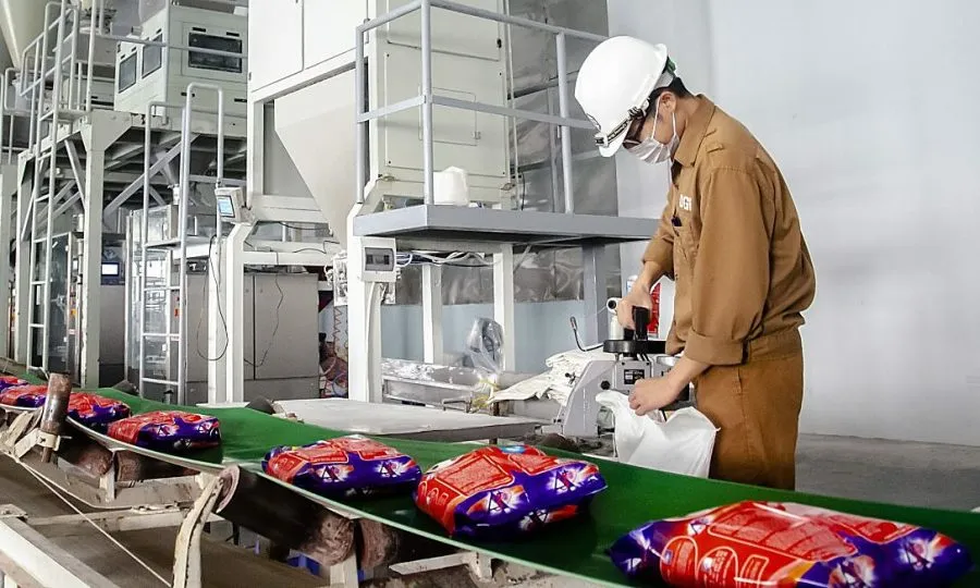 ‘Bốc hơi’ mạnh hơn VN Index, DGC đang gặp vấn đề gì?