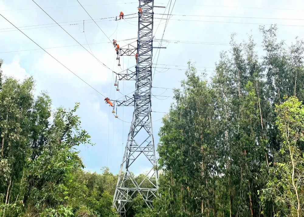 Điện lực Long An sang tải cấp điện cho vùng Đồng Tháp Mười