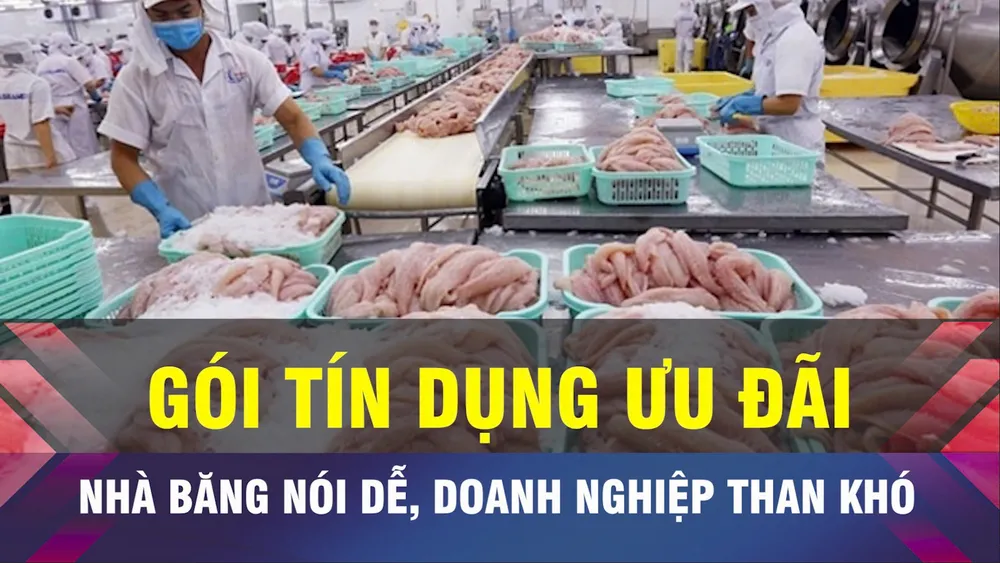 18 GIỜ NGÀY 11-7: Vì sao doanh nghiệp khó tiếp cận gói tín dụng ưu đãi?