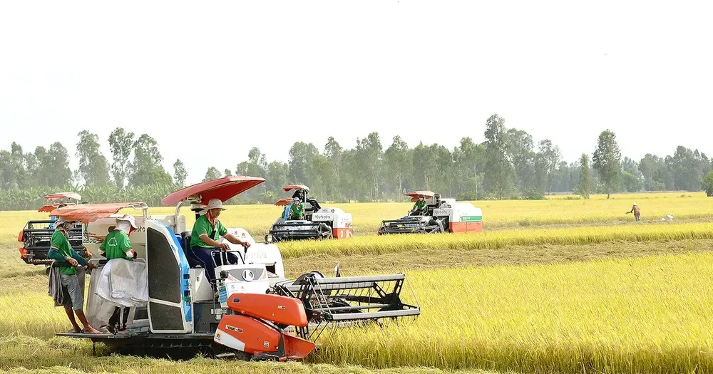 Theo đuổi năng suất hay giá trị cho nông nghiệp?