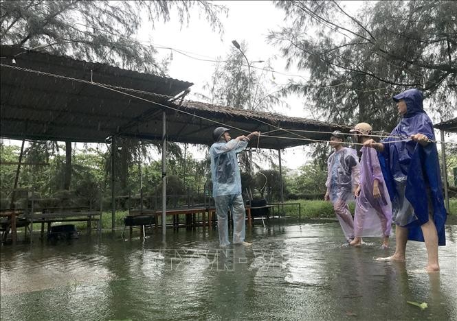 义安省炉门坊居民正在加固店铺，应对10号台风。