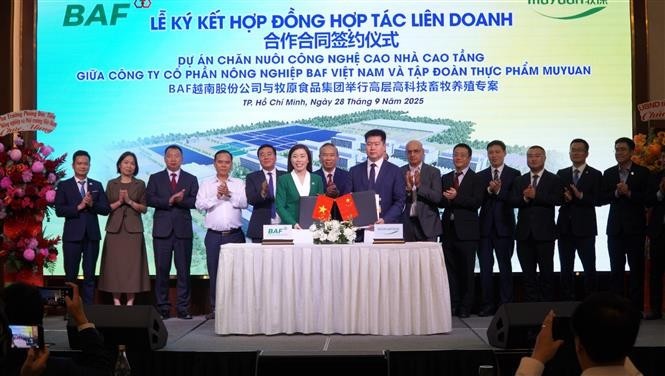 越南BAF农业股份公司与中国牧原食品集团合作合同签约仪式。