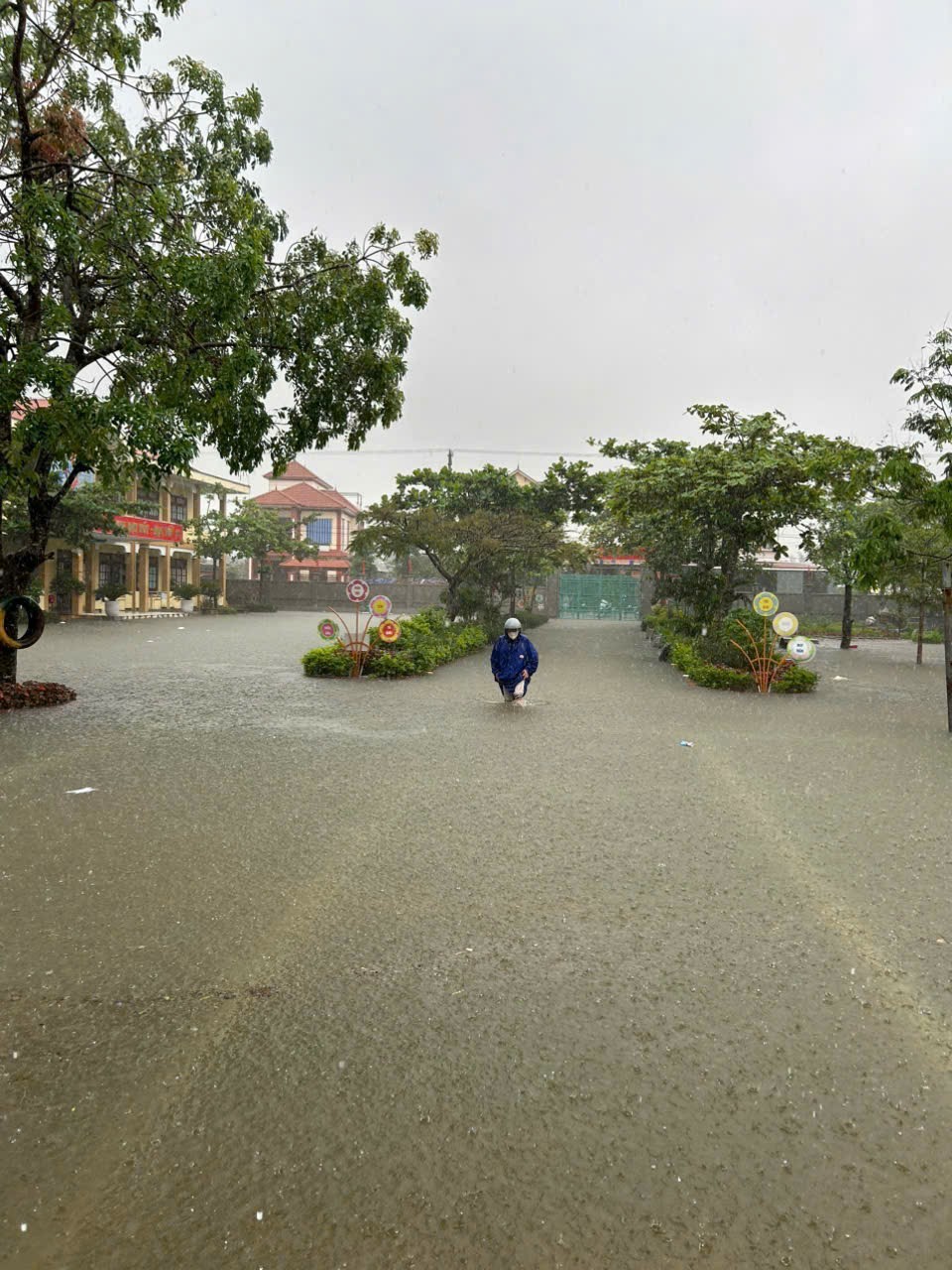  强降雨导致净江沿岸学校受淹。