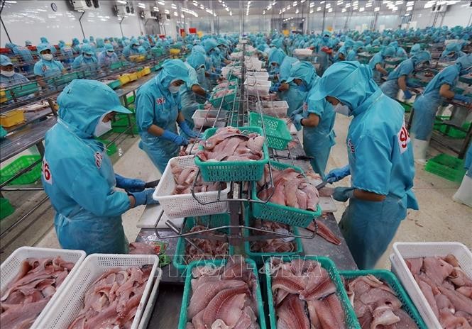 水产品是越南的主要出口商品之一。