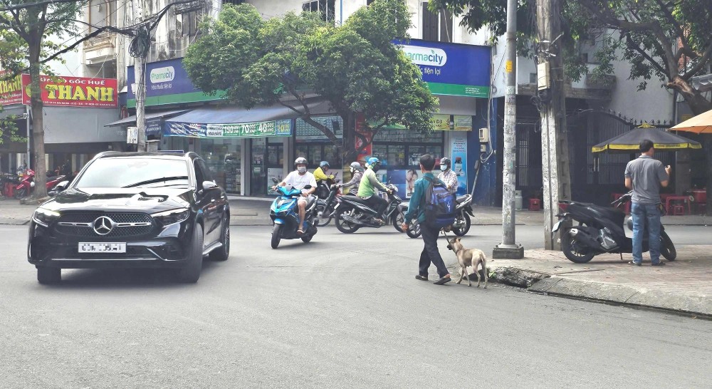 张林仲表示，他只需要符合自己专业的穩定工作。