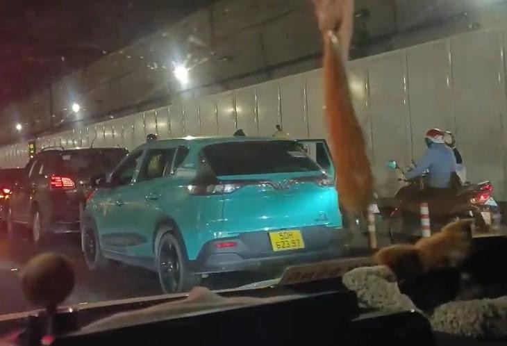 多辆汽车在守添隧道内发生连环相撞，方向是从胡志明市中心往安富交通纽枢。