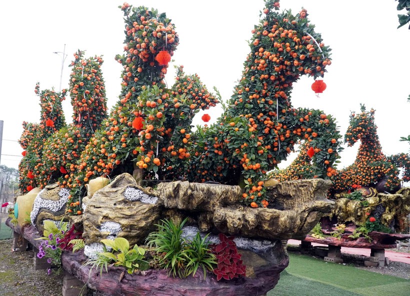 兴安省米处乡兴心园艺户创作的作品《马到成功》，造型为8匹骏马飞奔向前。