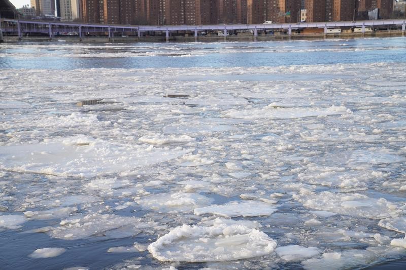  这是1月31日在美国纽约拍摄的水上浮冰。