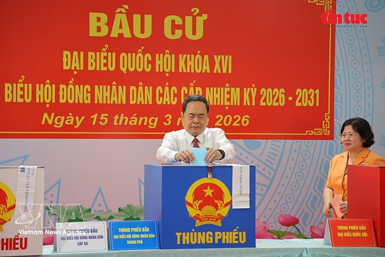 越南国会主席、国家选举委员会主席陈青敏在胡志明市旭门乡第14号投票站行使公民权利。