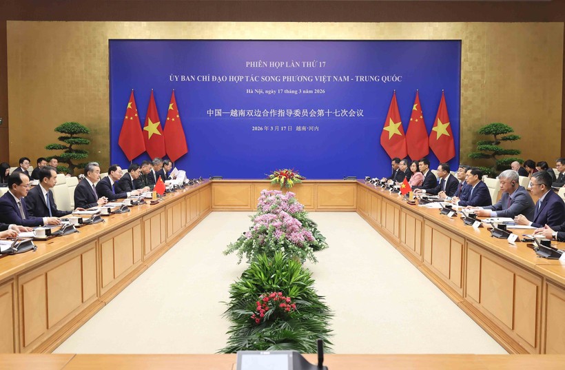 越中双边合作指导委员会第十七次会议场景 。