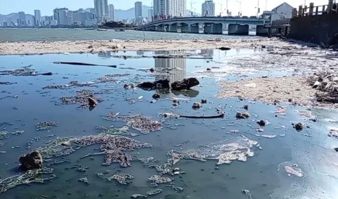 陈富桥北面公园区域未经处理排入海中的污水。