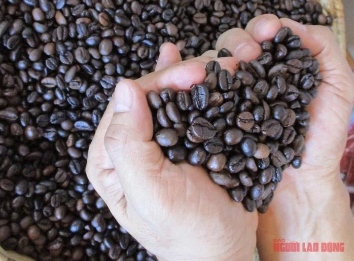 越南咖啡目前仍处于“一枝独秀”阶段。