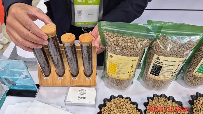 国内咖啡价格徘徊在每公斤10万元以下。