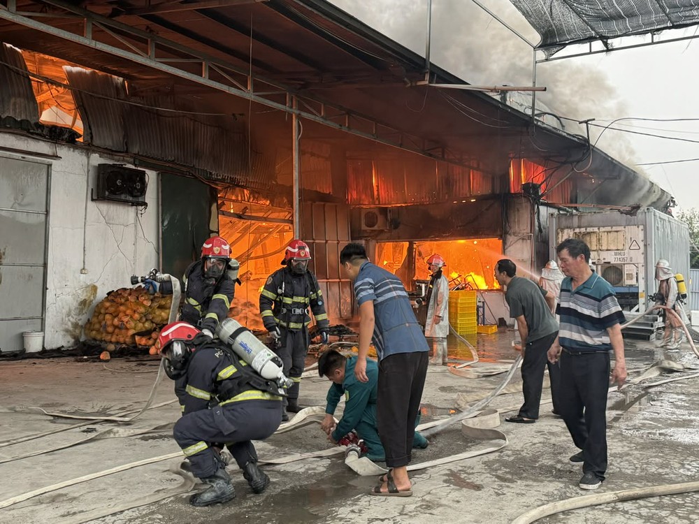 就地力量与居民参与灭火。