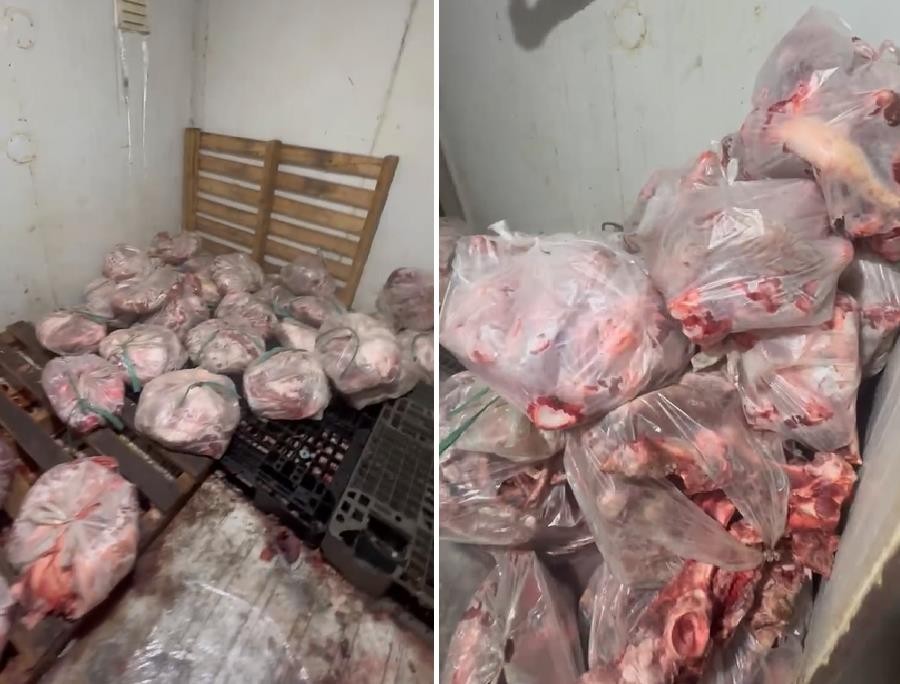 疑似染病且散发恶臭味的猪肉被冷冻和准备推出市场销售。图：同奈公安