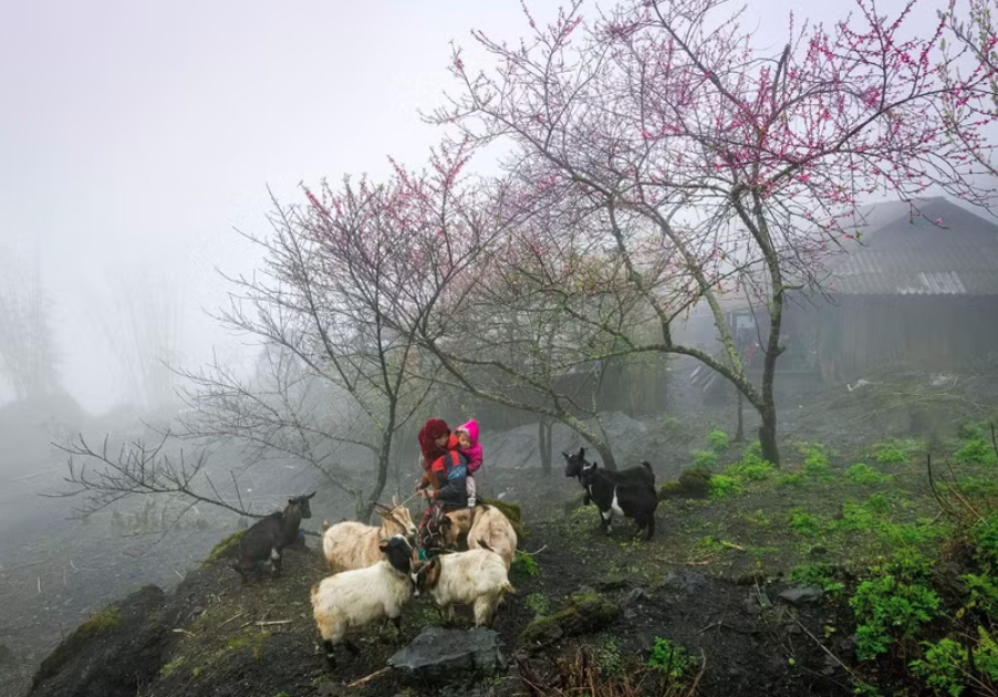 本土文化为越南旅游目的地的独特吸引力作出贡献。图自Vietnam+