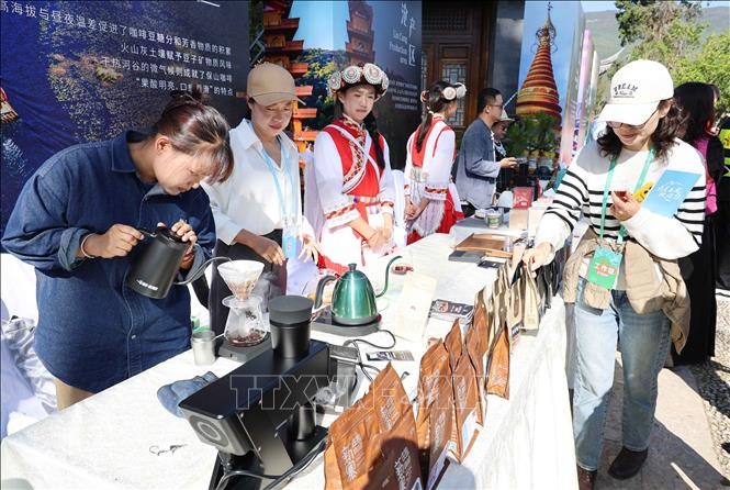 第二届玉龙雪山咖啡节上介绍云南咖啡的展位。