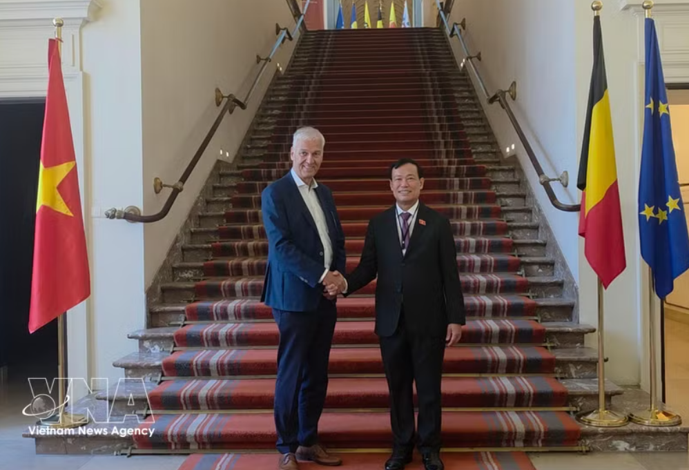 越南国会国防安全与对外委员会主任黎晋岱上将礼节性拜会了比利时参议院第一副议长安德里斯·格里弗罗伊。图自越通社
