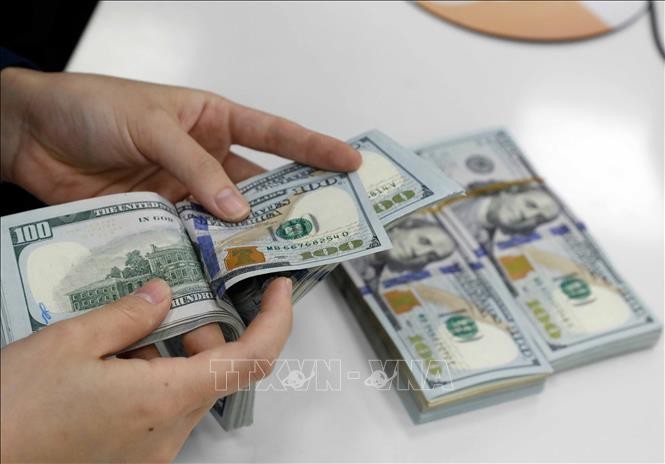 外汇市场在本周首个交易日呈现上涨趋势。图：陈越/越通社