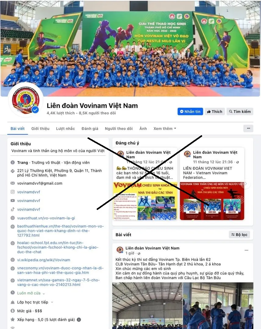 Trang thông tin giả mạo đã được Liên đoàn vovinam đưa ra để cảnh báo tới mọi người. Ảnh: VVF