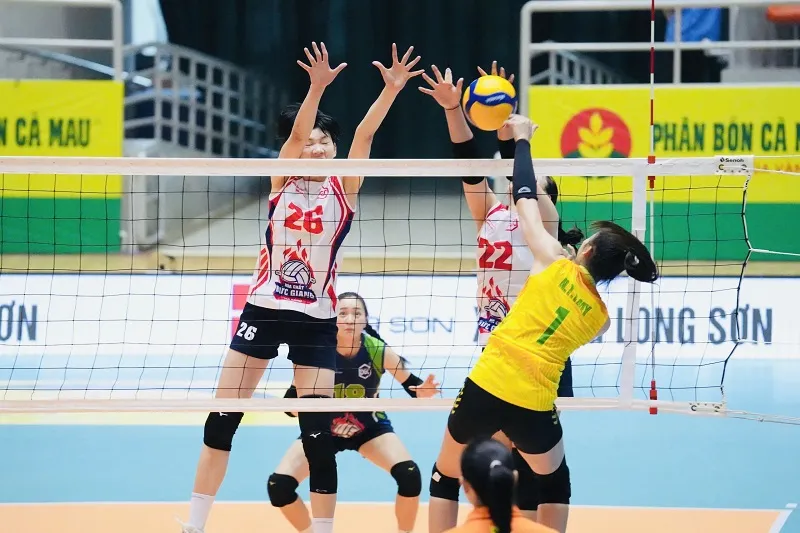 bong chuyen long an 1.jpg