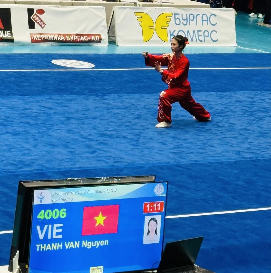 wushu vietnam 1.jpg