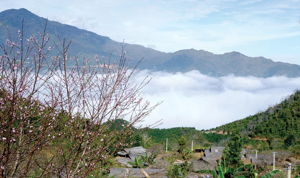 Đón Tết trên non cao ảnh 3