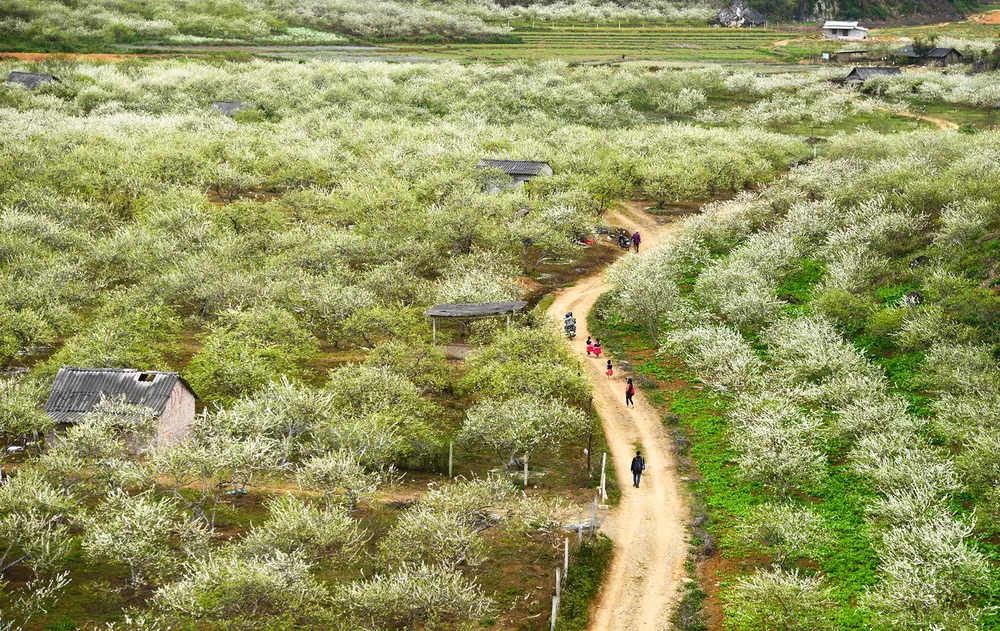 Đón Tết trên non cao ảnh 7