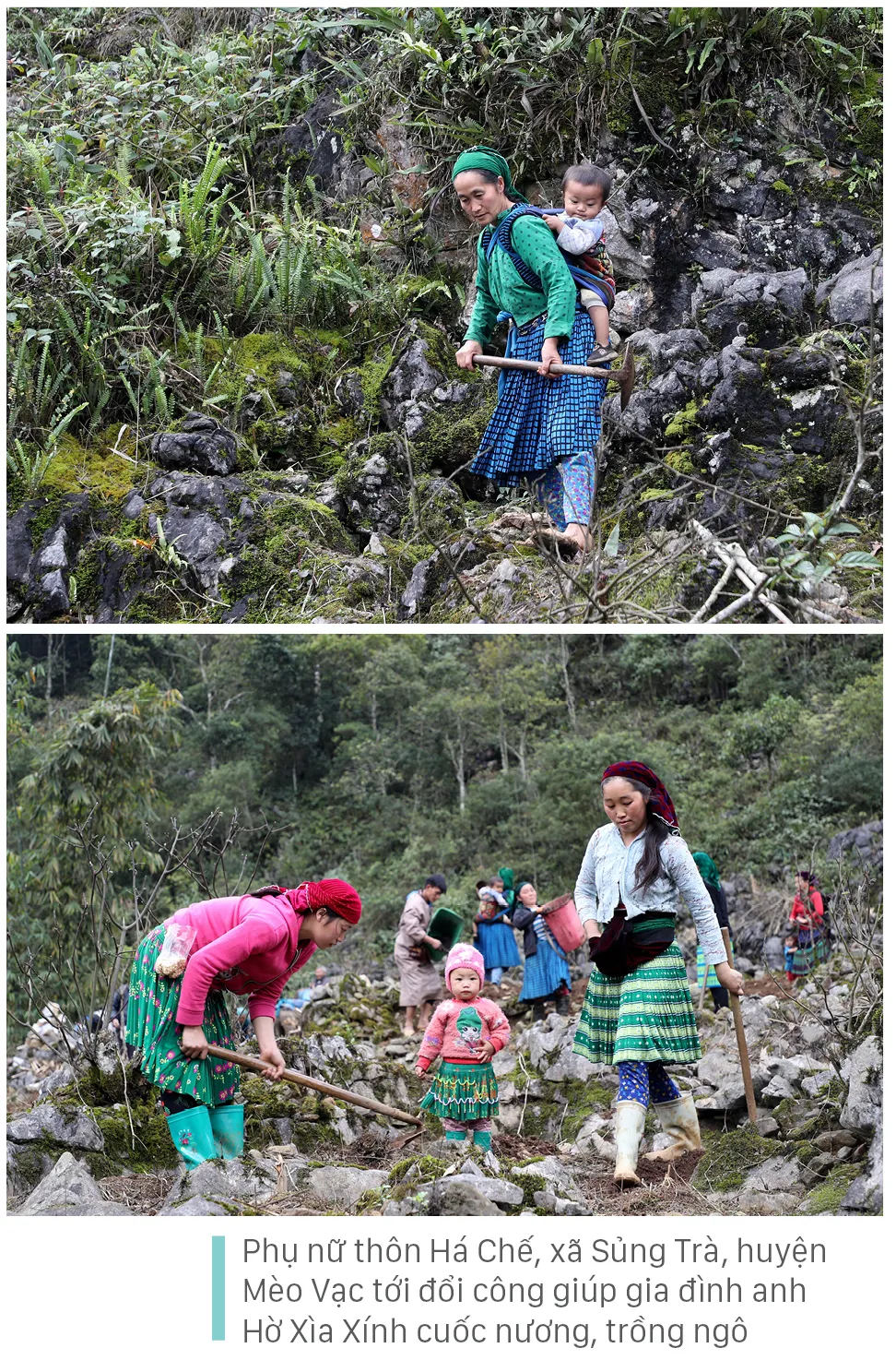 Nét đẹp người phụ nữ vùng cao nguyên đá Hà Giang ảnh 14