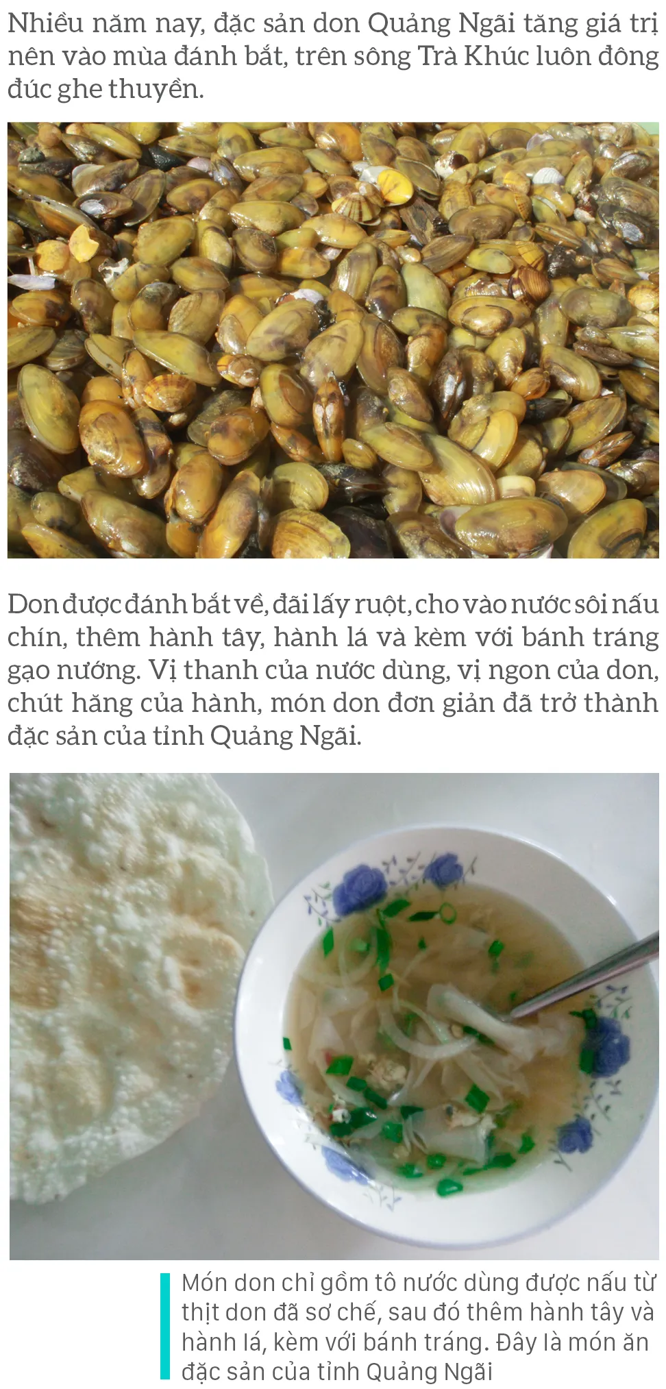 Dầm mình cào don dưới sông Trà Khúc ảnh 19