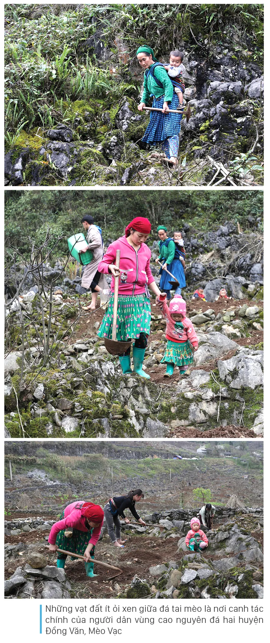 Sông Nho Quế hiền hòa nhưng hùng vĩ ảnh 8