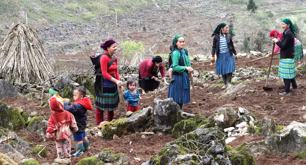 Sông Nho Quế hiền hòa nhưng hùng vĩ ảnh 9