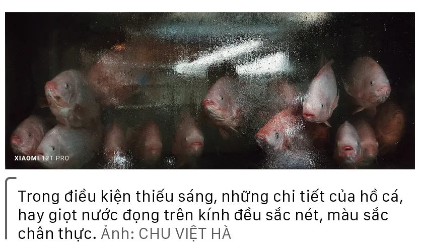 Nhiếp ảnh với Xiaomi 12T Pro ảnh 13