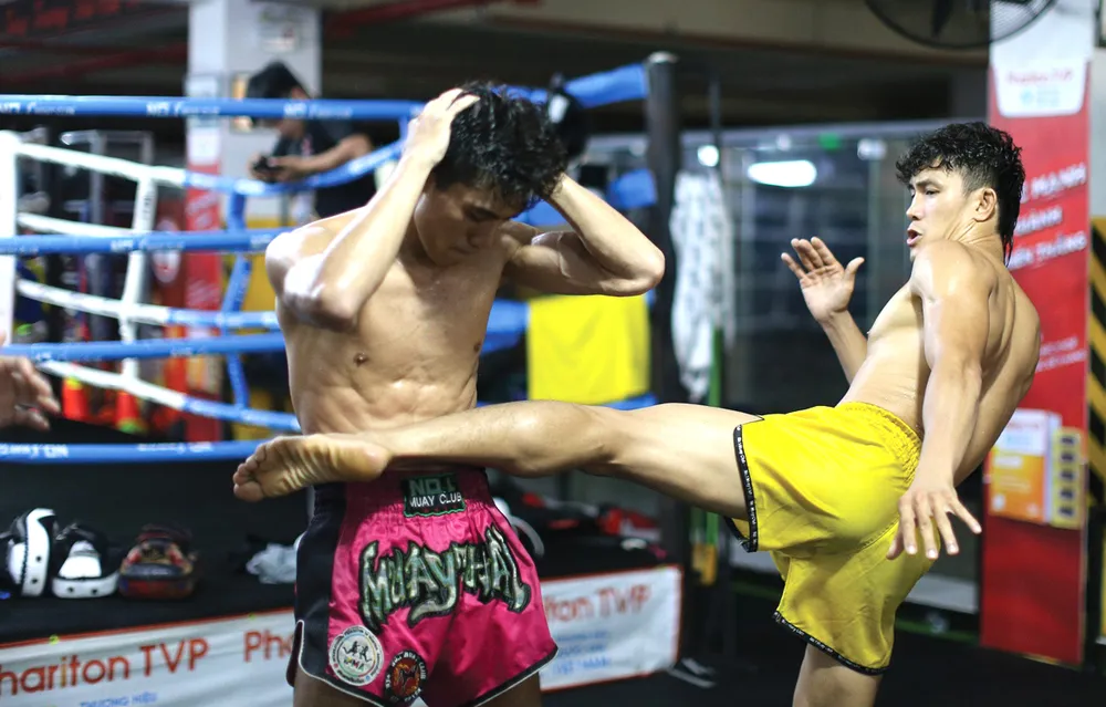 Nguyen Tran Duy Nhat-5.jpg