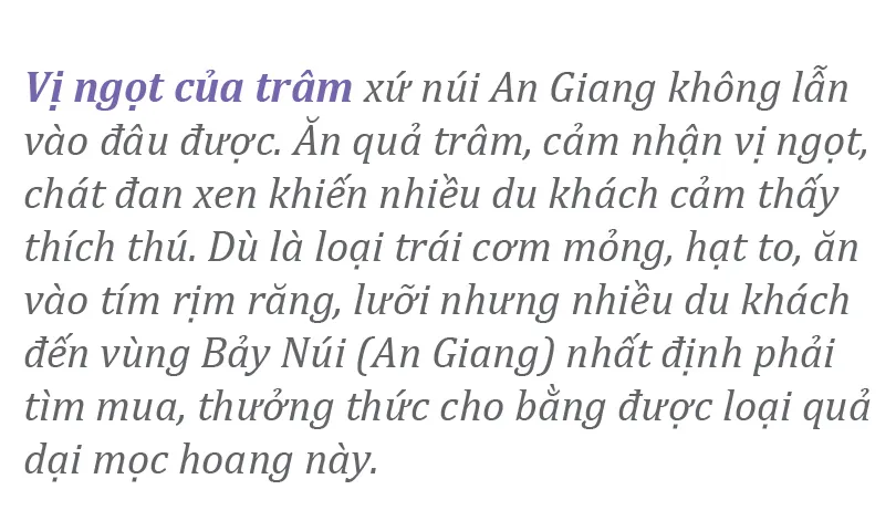 Thuong nho mua tram-1.jpg