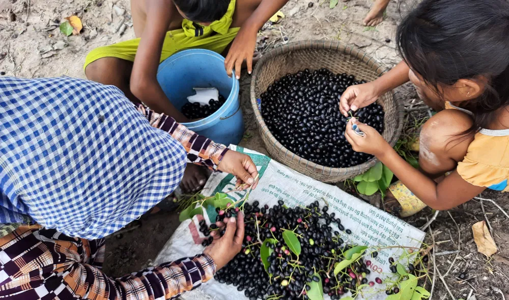 Thuong nho mua tram-10.jpg