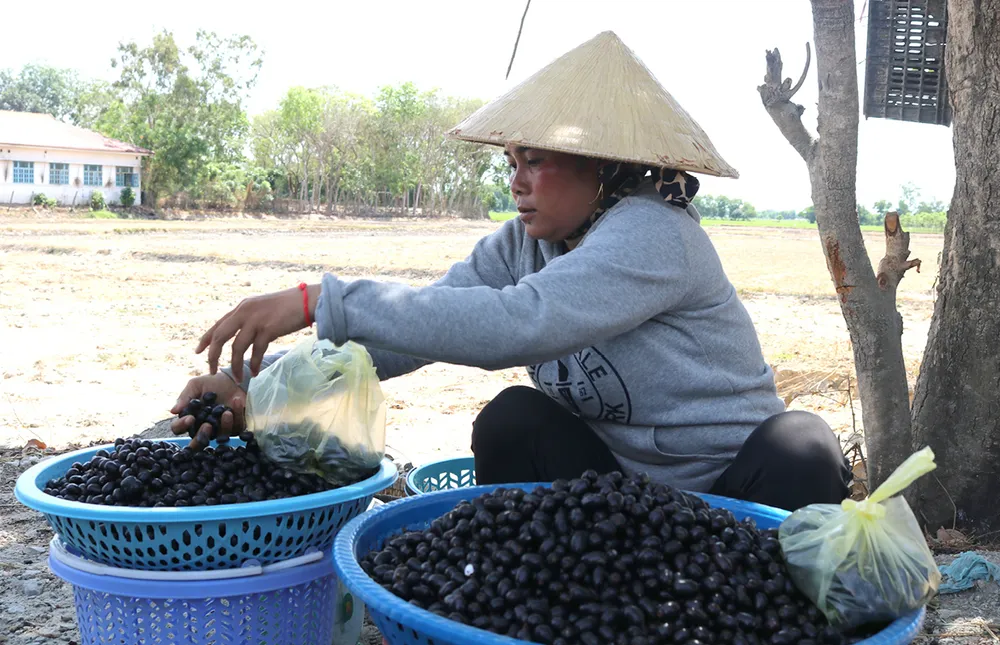 Thuong nho mua tram-11.jpg