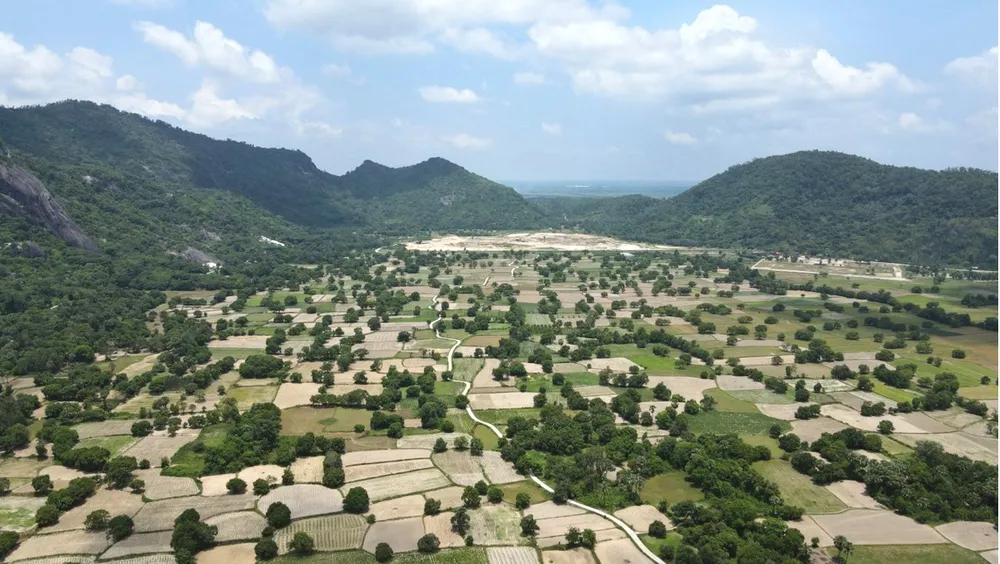 Thuong nho mua tram-2.jpg