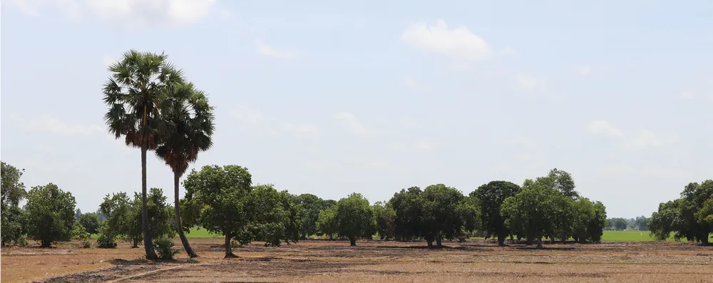 Thuong nho mua tram-8.jpg