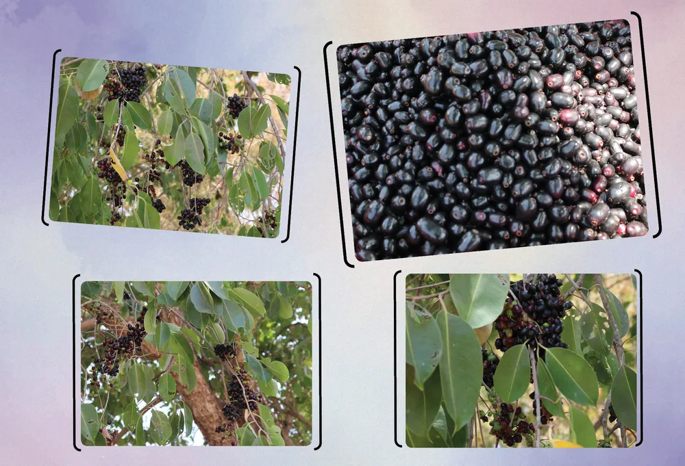 Thuong nho mua tram-9.jpg